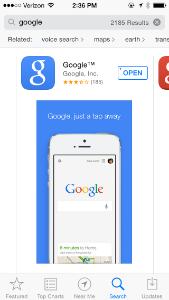 Google Mobile Search